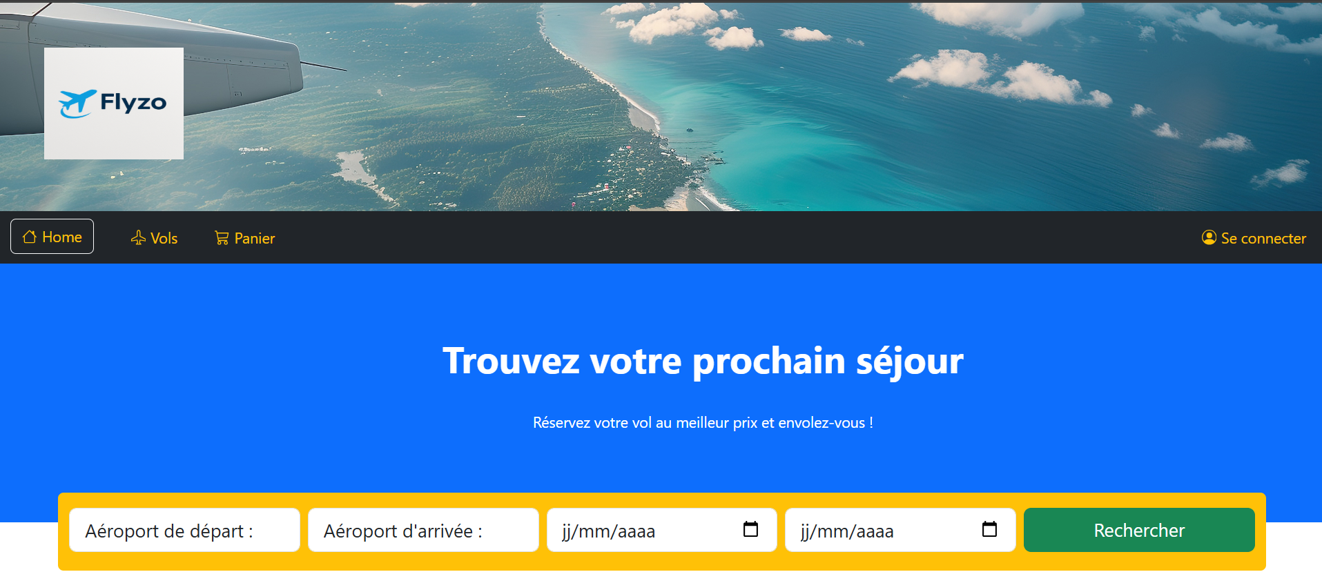 Flyzo project preview